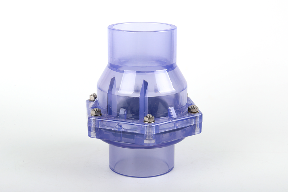 猇亭透明翻板式止回阀